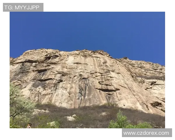 广州攀岩队勇攀高峰的极限运动嘉年华精彩回顾与突破之路