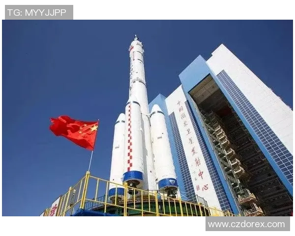 张强专访：揭秘排球背后的成功秘诀与奋斗历程