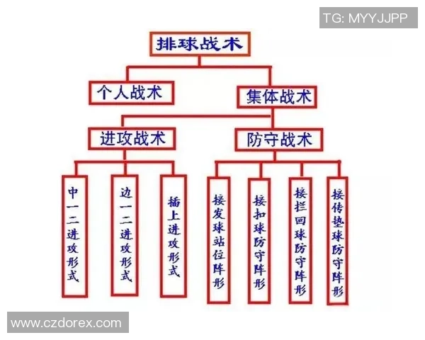 深圳排球队中路突破的秘密与战术解析深度剖析排球技术的魅力与挑战