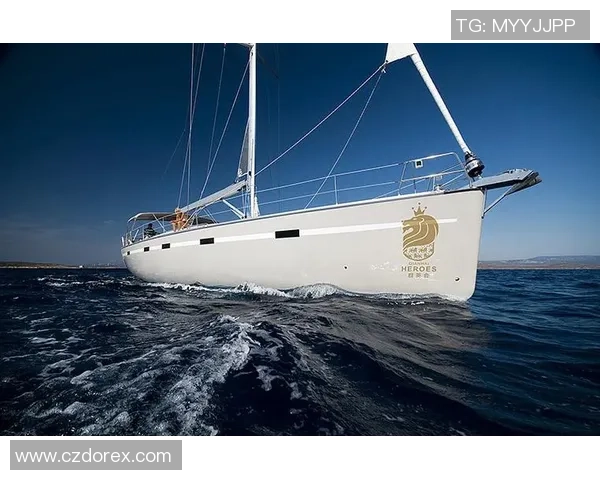 深圳极限运动队荣登灵活性排行榜第三名引发关注与讨论